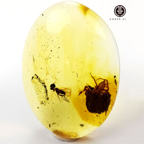 Natural Amber Free Shape Cabochons With Insects