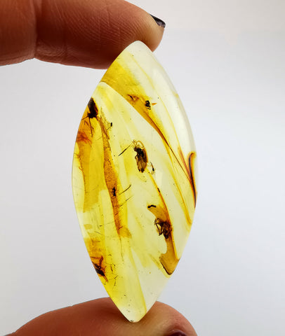 Natural Amber Marquise Cabochon With Insects