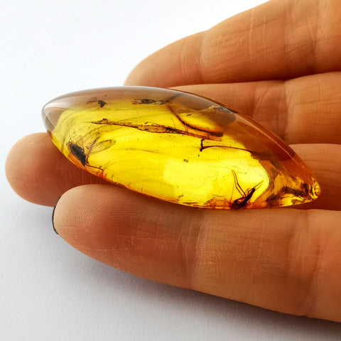 Natural Amber Marquise Cabochon With Insects