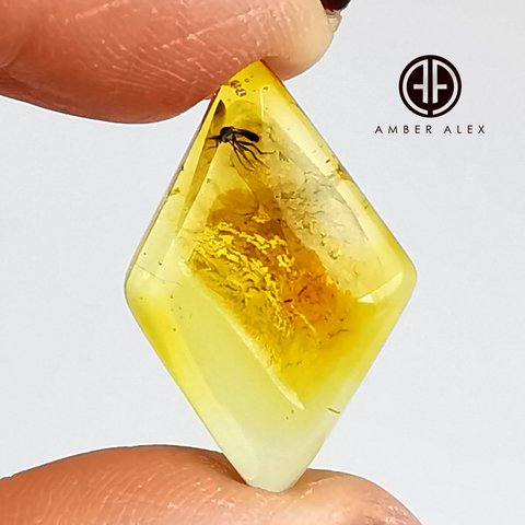 Natural Amber Rhombus Cabochon With Insects