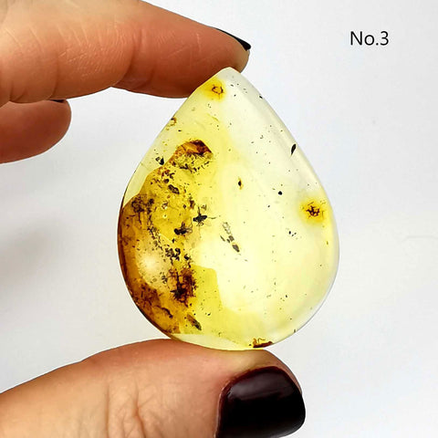 Fossil Amber Drop Shape Cabochons With Insects