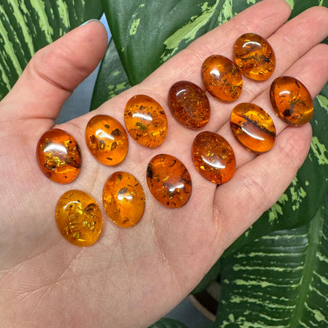 Cognac Amber Oval Shape 15x20 mm Cabochons