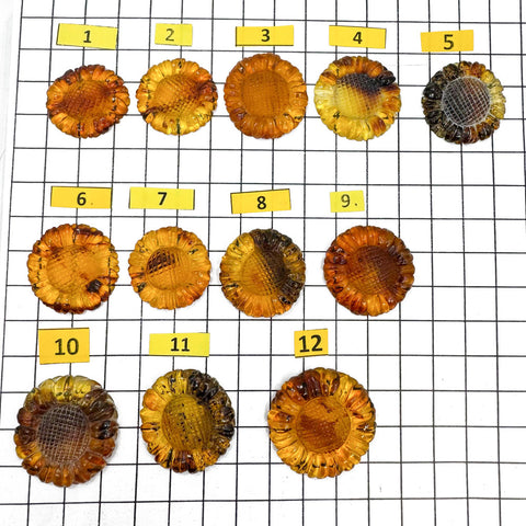 Cognac Amber Carved Sunflower Cabochons