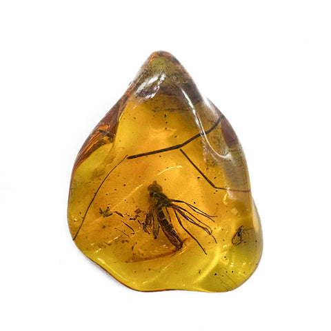Natural Amber Wave Shape Stone With Insects