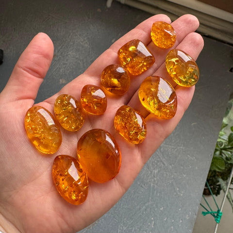 Light Cognac Amber Free Shape Cabochons