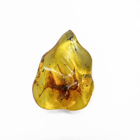 Natural Amber Wave Shape Stone With Insects