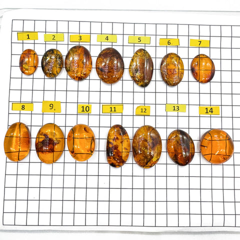 Cognac Amber Free Shape Cabochons
