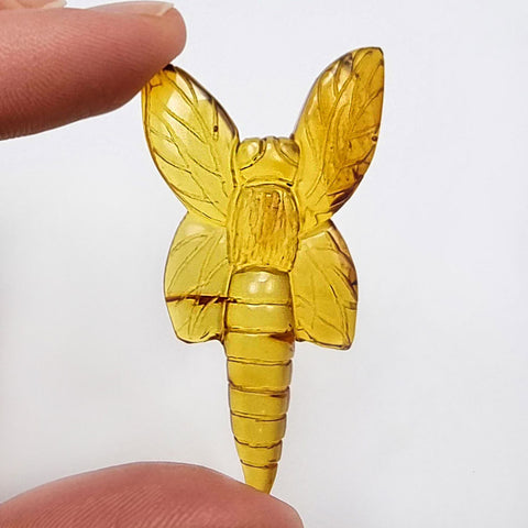 Cognac Amber Carved Dragonfly Cabochon