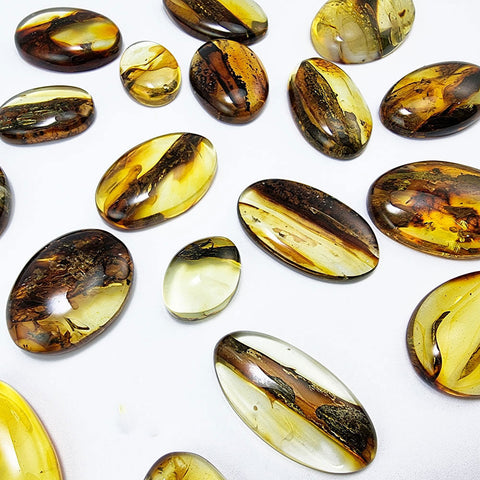 Fossil Amber Free Shape Cabochons