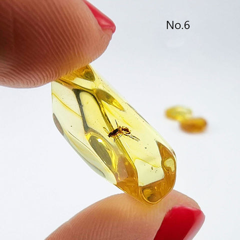 Crystal Cut Lemon color Amber Stone with Insects