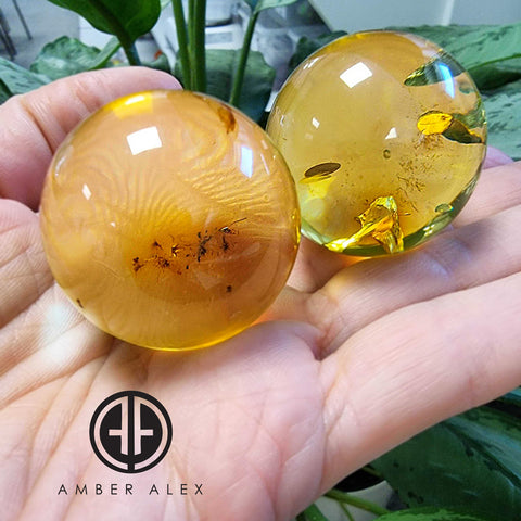 Green Amber Sphere Amber Stone With Insects