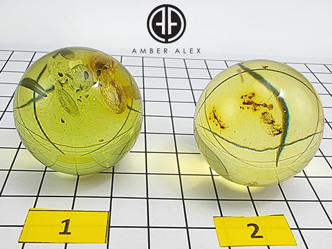 Green Amber Sphere Amber Stone With Insects