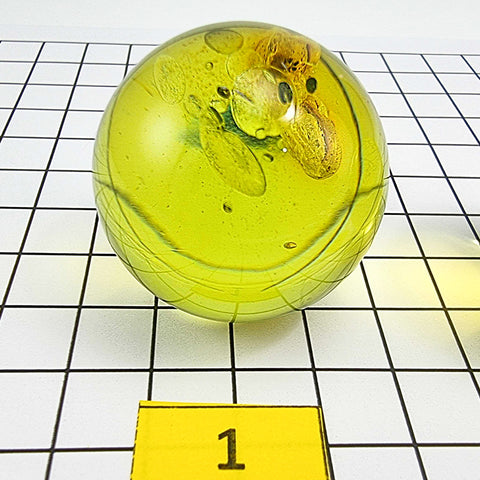 Green Amber Sphere Amber Stone With Insects