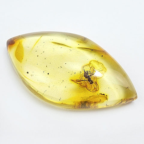 Natural Amber Marquise Cabochon With Insects