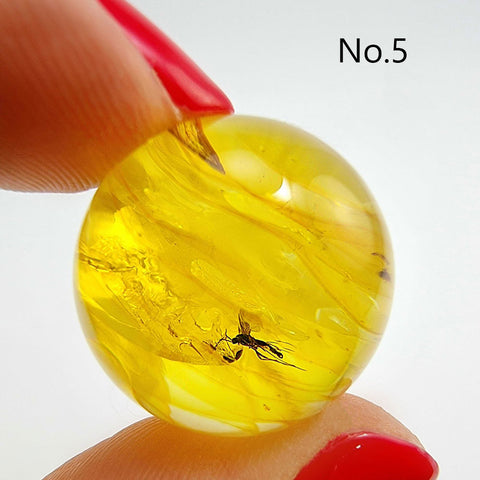 Natural Amber Ball Shape Stone With Insects