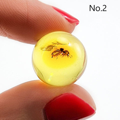 Natural Amber Ball Shape Stone With Insects