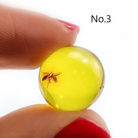 Natural Amber Ball Shape Stone With Insects