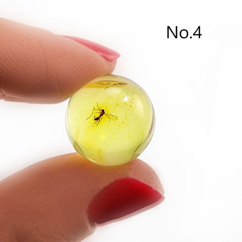 Natural Amber Ball Shape Stone With Insects