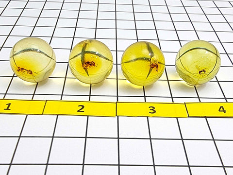 Natural Amber Ball Shape Stone With Insects