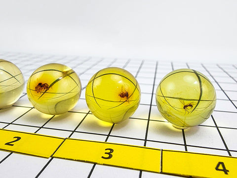 Natural Amber Ball Shape Stone With Insects