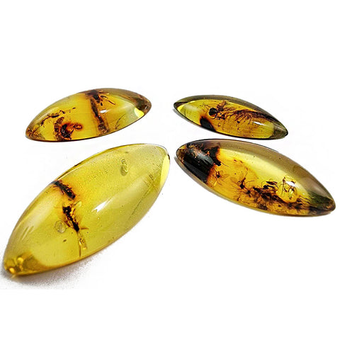 Natural Amber Marquise Shape Cabochon With Insects