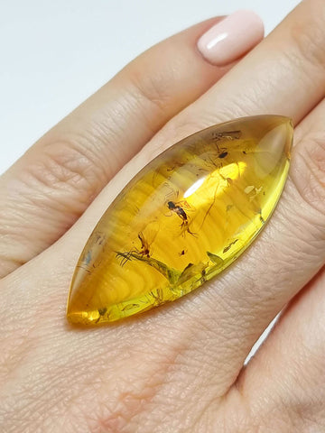 Natural Amber Marquise Cabochon With Insects