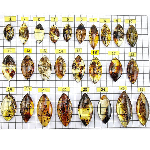 Fossil Amber Marquise Shape Cabochons