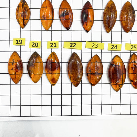 Cognac Amber Marquise Shape Cabochons