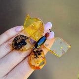 Cognac & Fossil Amber Butterfly Brooch - Pendant