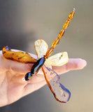 Multi-Color Amber Dragonfly Brooch - Pendant