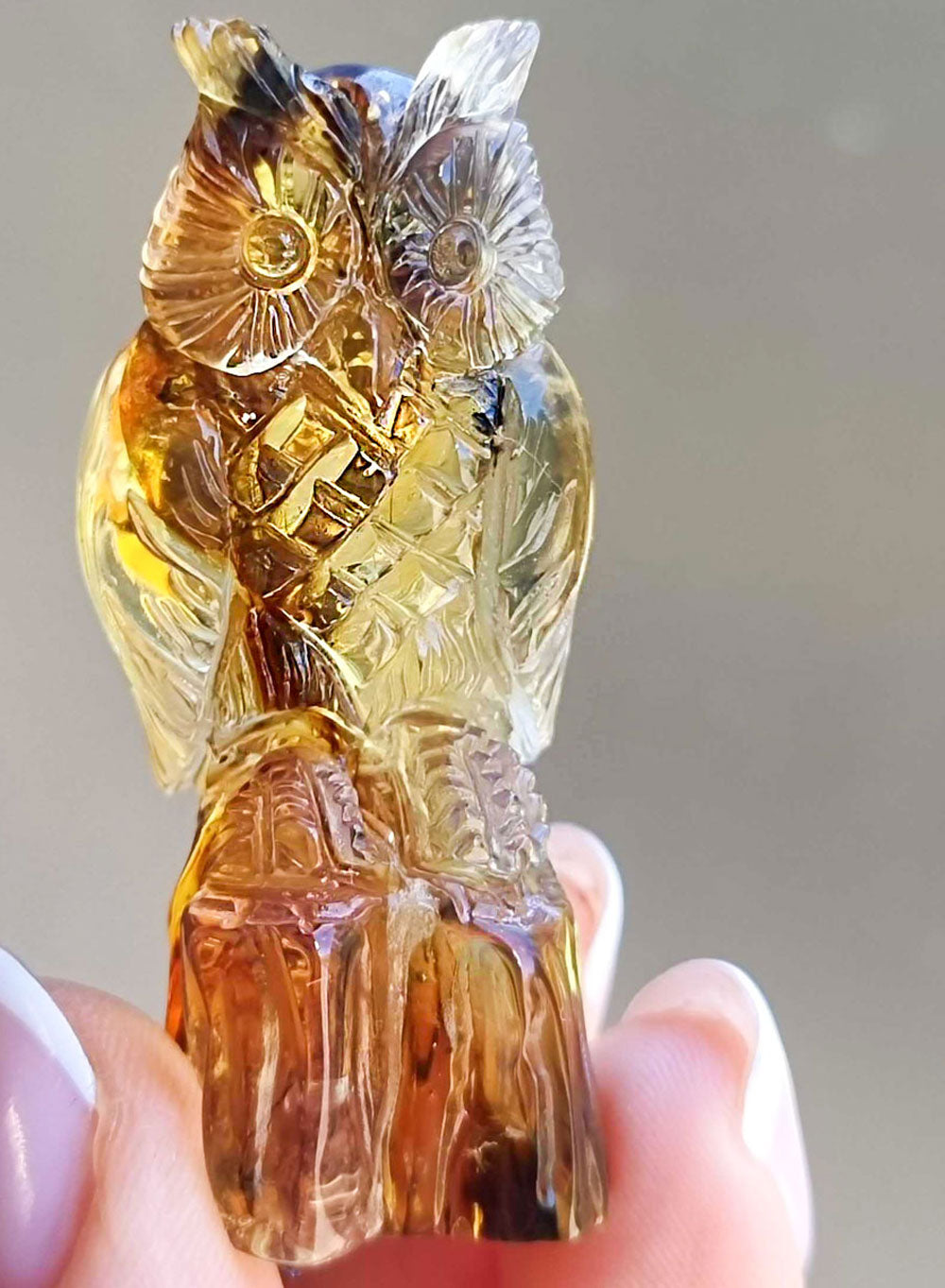 Fossil Amber Carved Owls Figurine