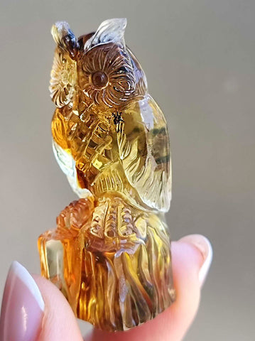 Fossil Amber Carved Owls Figurine