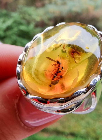 Natural Amber Free Shape Bead Adjustable Ring Sterling Silver With Insect