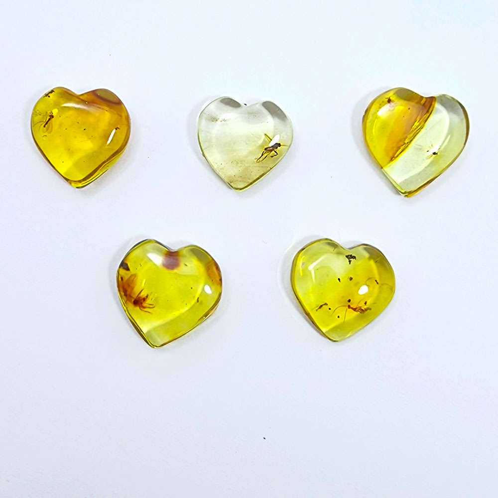 Natural Amber Puffed Heart Shape Stone With Insects