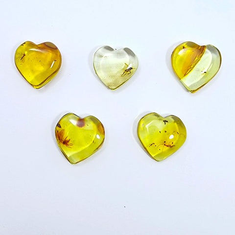 Natural Amber Puffed Heart Shape Stone With Insects