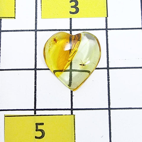 Natural Amber Puffed Heart Shape Stone With Insects