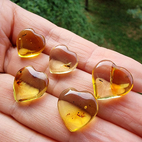 Natural Amber Puffed Heart Shape Stone With Insects