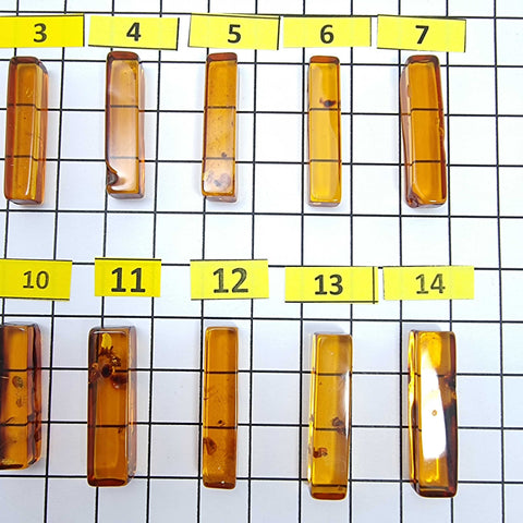 Cognac Amber Rectangular Free Shape Cabochons