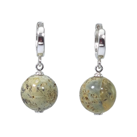 Milky Fossil Amber Round Dangle Earrings Sterling Silver