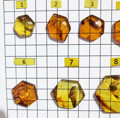 Cognac Amber Free Shape Hexagon Cabochons