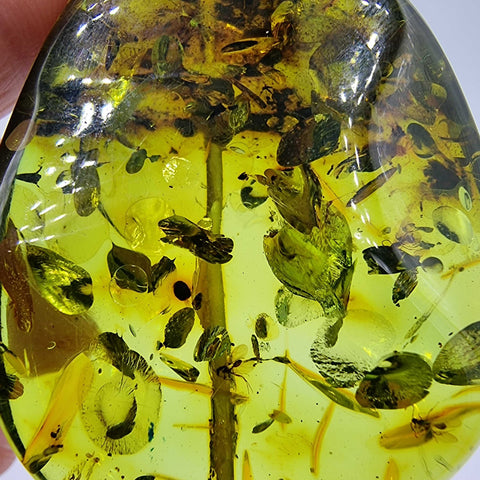 Green Amber Nugget Whit Insects Bead