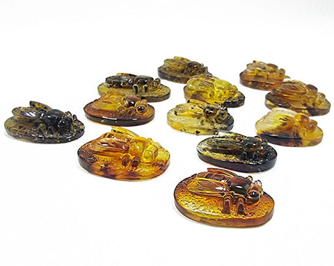 Fossil Amber Carved Bee Cabochons