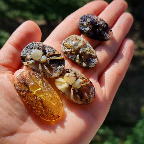 Milky & Fossil Amber Carved Spider Cabochons