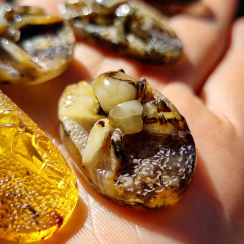 Milky & Fossil Amber Carved Spider Cabochons