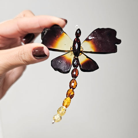 Gradient Amber Dragonfly Brooch - Pendant