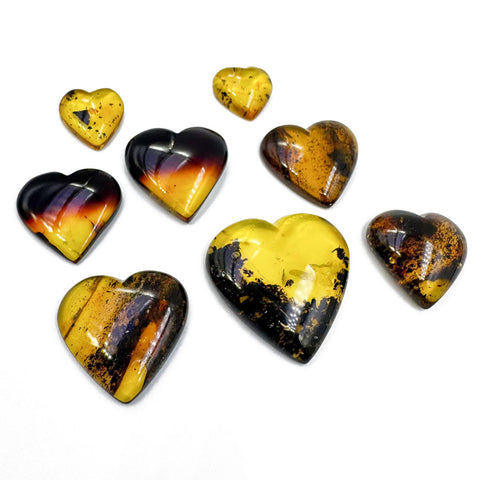 Fossil Amber Heart Shape Cabochons