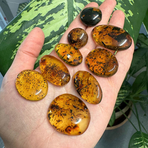 Fossil Amber Free Shape Cabochons