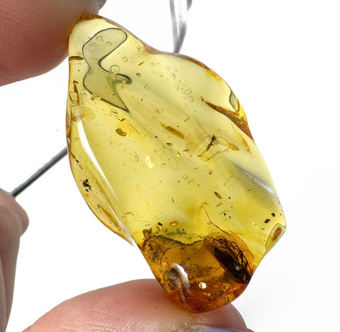 Natural Amber Wave Shape Stone With Insects