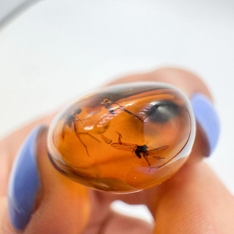 Natural Amber Free Shape Stone With Insects