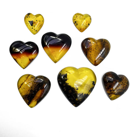 Fossil Amber Heart Shape Cabochons